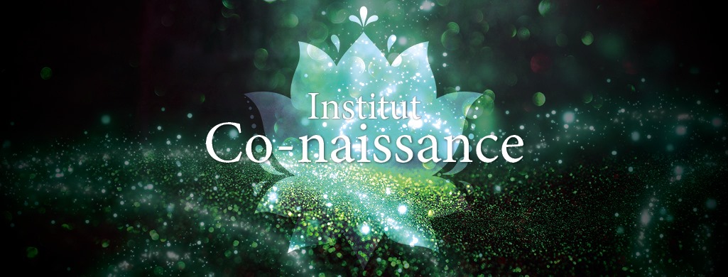logo de Institut Co Naissance
