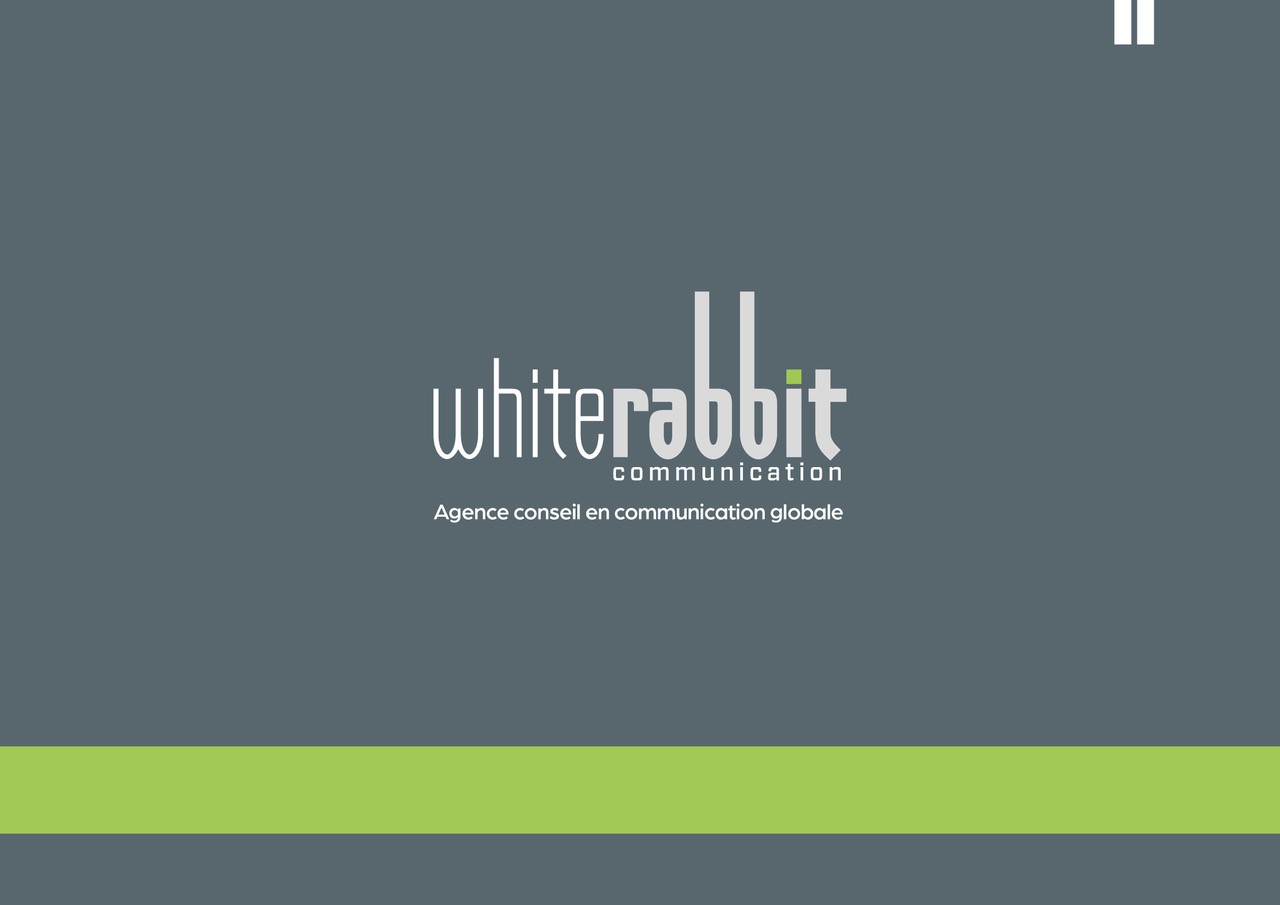 logo de White Rabbit Sarl