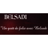 logo de Belsadi
