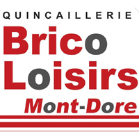 logo de Brico Loisirs
