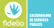 logo de Calédonienne de Services Publics Ducos