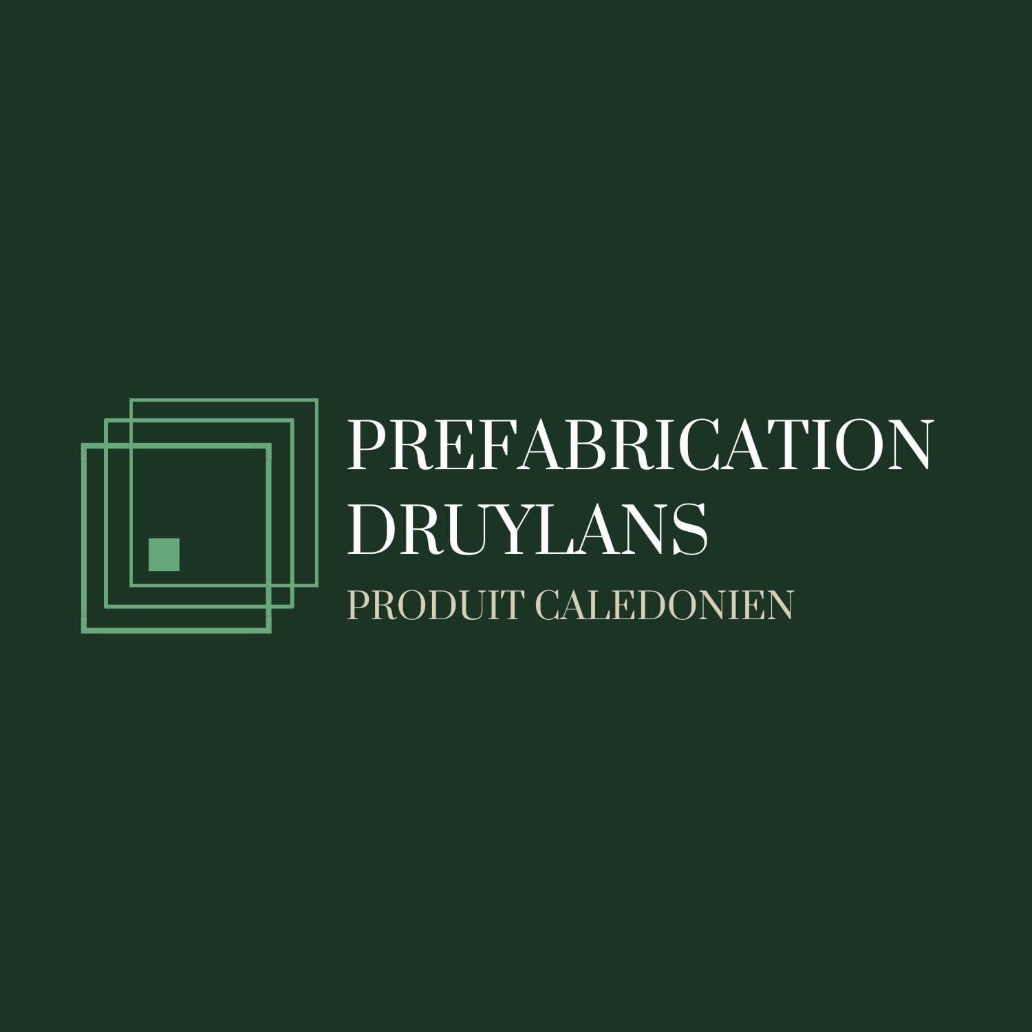 logo de Druylans