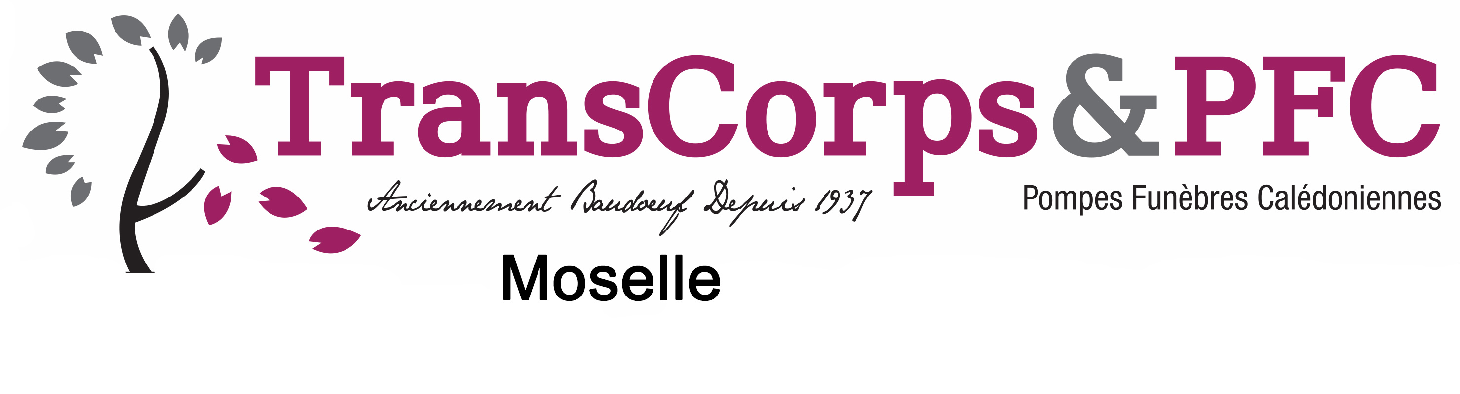 logo de PFC Transcorps Moselle