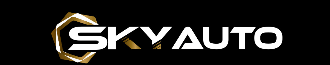 logo de Skyauto