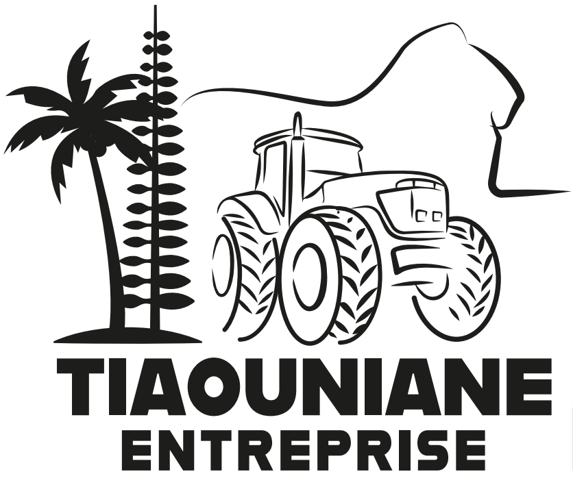 logo de Tiaouniane Entreprise