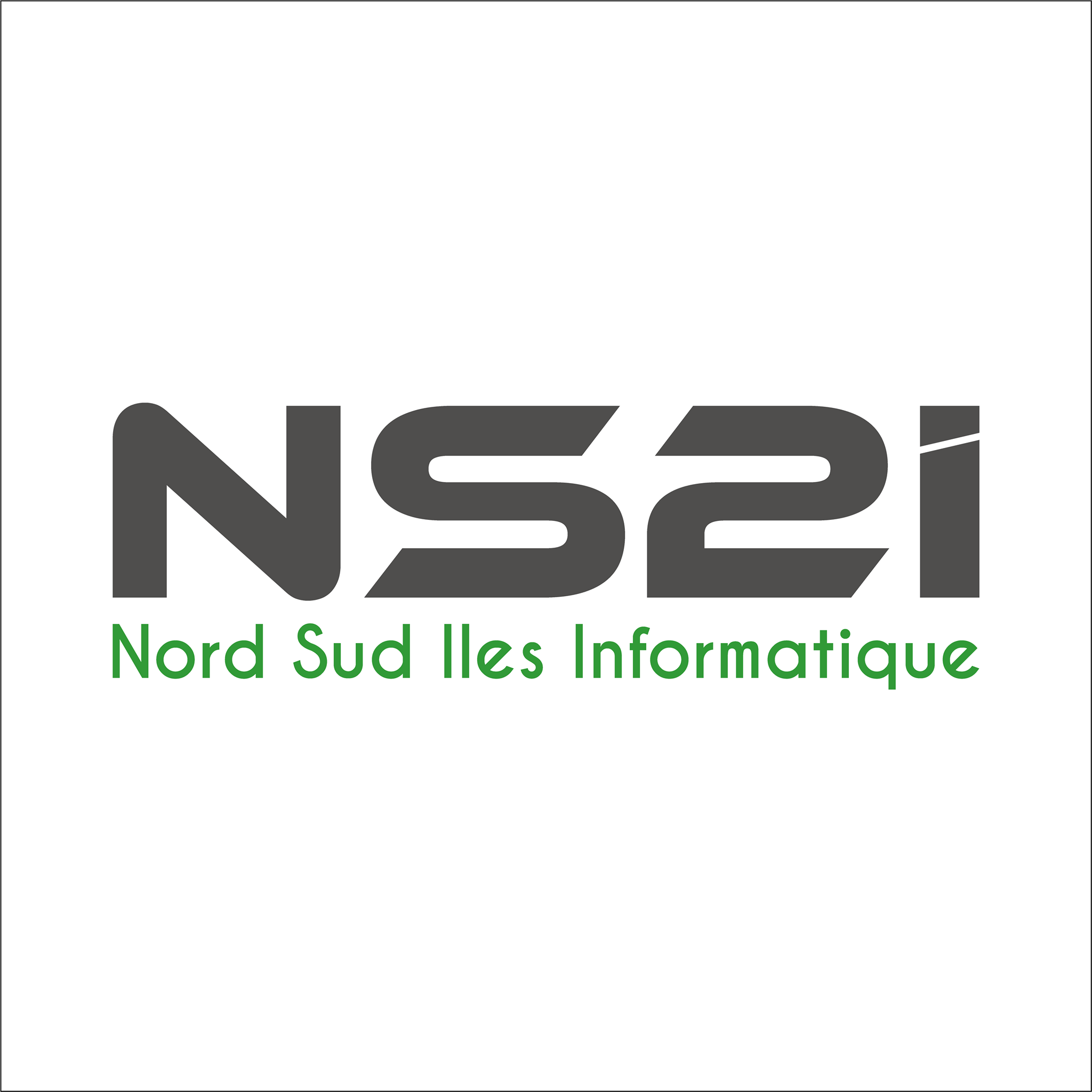 logo de NS2I – Nord Sud Iles Informatique