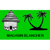logo de Magasin Blancher