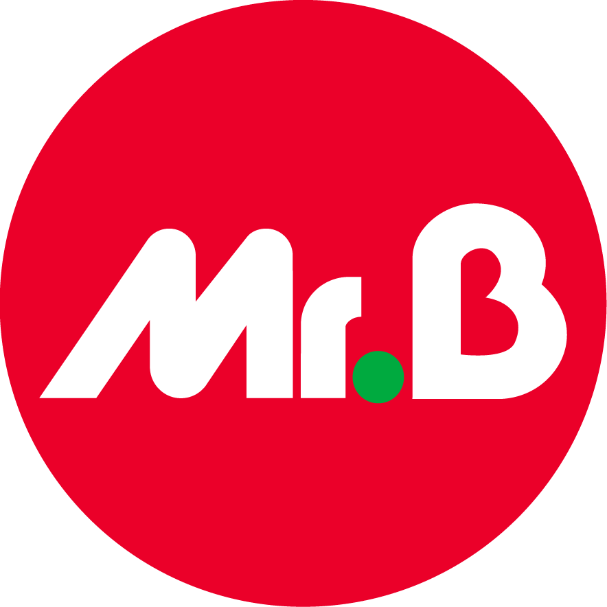 logo de Mr.Bricolage Koné