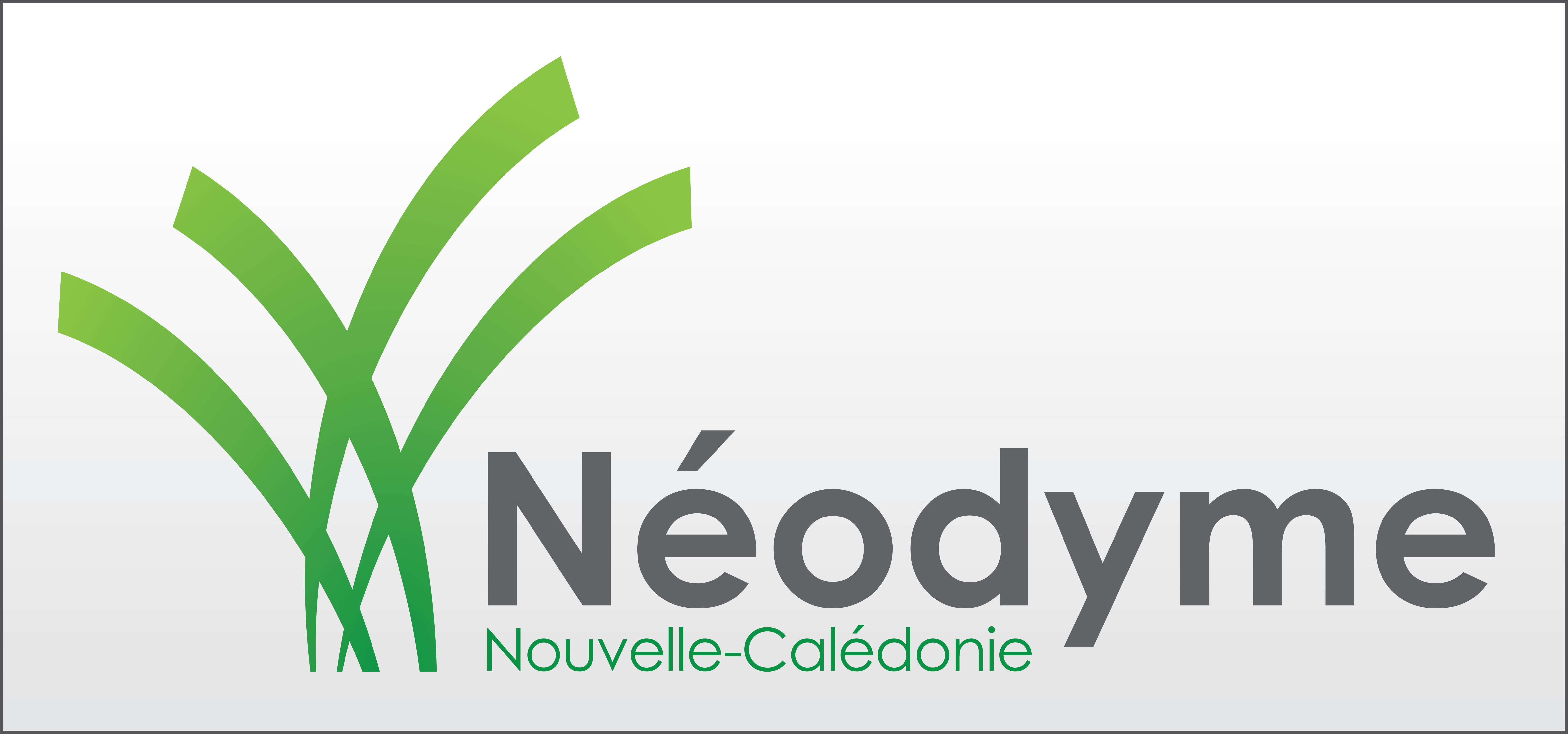 logo de Neodyme Nouvelle-Calédonie
