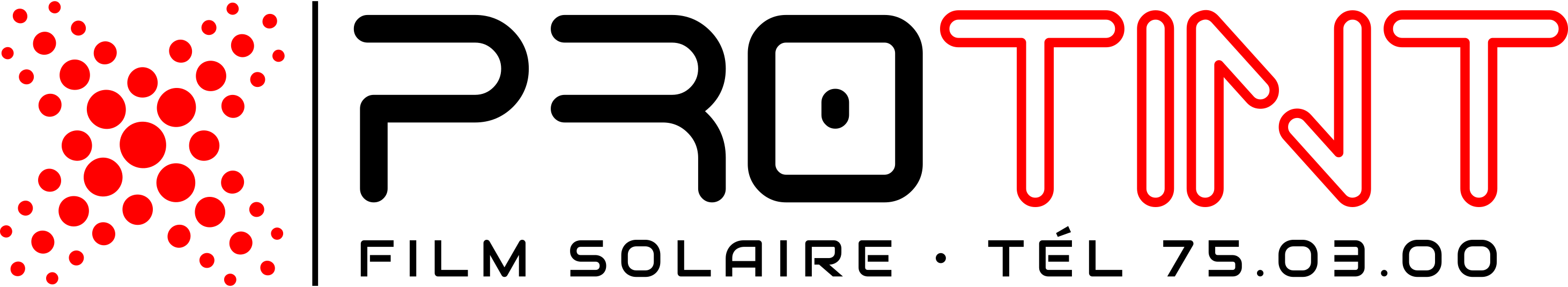logo de Protint
