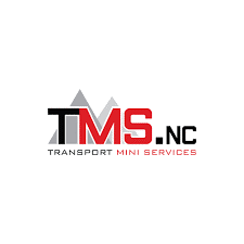 logo de TMS Transport Mini Services